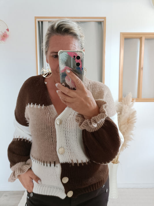 Pull Gilet Oziru