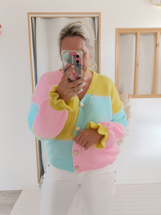 Pull Gilet Oziru